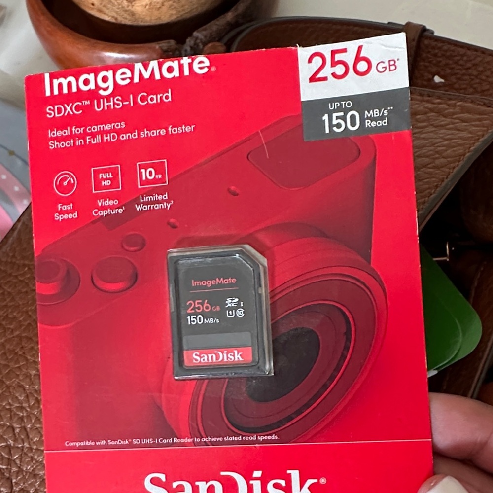 UHS-1 card San Disk -New 256 GB